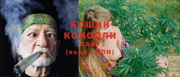 тгк Бородино