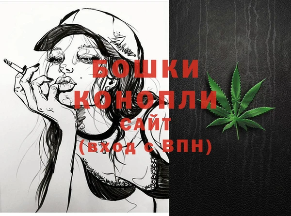 тгк Бородино