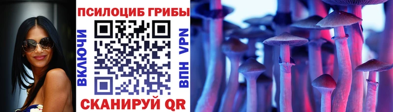 гидра ссылки  Княгинино  Галлюциногенные грибы MAGIC MUSHROOMS  где можно купить  