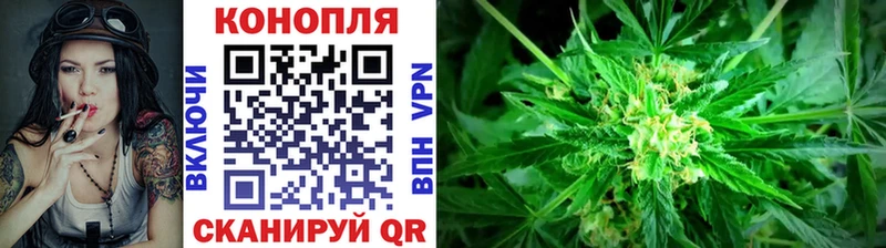 OMG tor  где можно купить наркотик  Княгинино  Канабис Ganja 